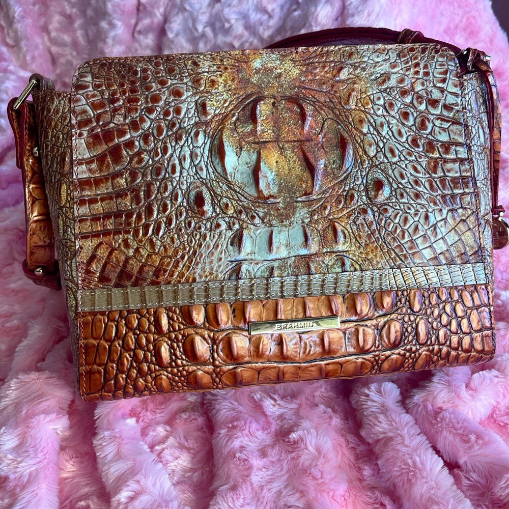 Brahmin Hillary